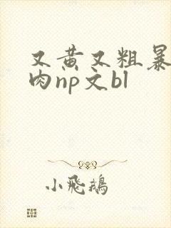 又黄又粗暴的纯肉np文bl