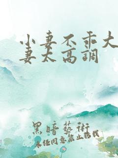 小妻不乖大佬宠妻太高调