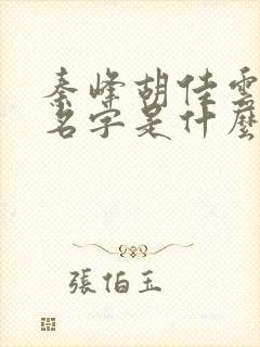 秦峰胡佳云小说名字是什么