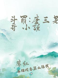 斗罗:唐三是我哥 小说