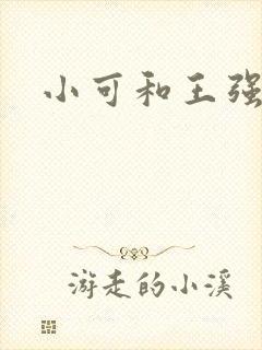 小可和王强小说