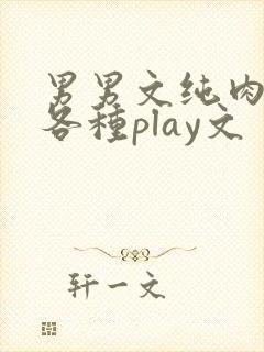 男男文纯肉高h各种play文