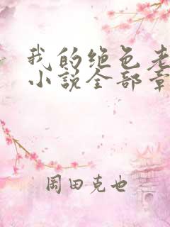 我的绝色老板娘小说全部章节