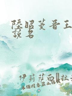 陆昭菱晋王的小说名