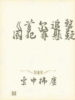 《首尔追击》韩国犯罪悬疑电影