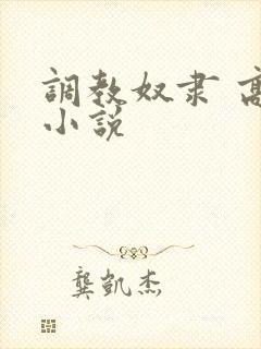 调教奴隶 高h小说