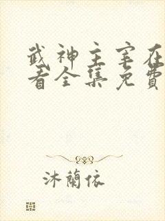 武神主宰在线观看全集免费合集