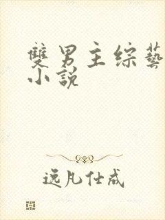 双男主综艺推文小说