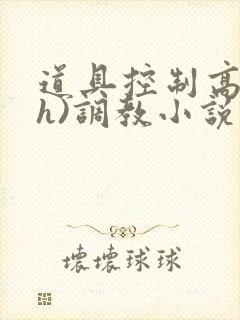 道具控制高潮(h)调教小说