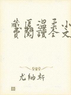 藏匿温柔小说免费阅读全文