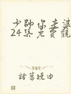 少帅你老婆又跑24集免费观看