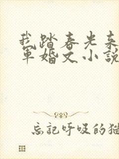 我踏春光来年代军婚文小说