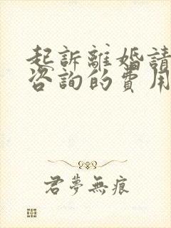 起诉离婚请律师咨询的费用