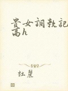 贵女调教记np高h
