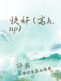 快奸 (高h.np)