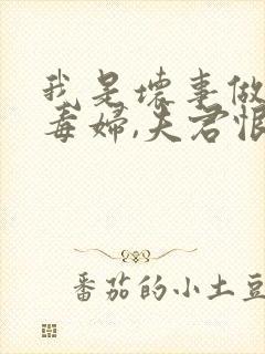 我是坏事做尽的毒妇,夫君恨我入骨