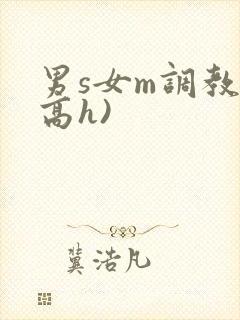 男s女m调教(高h)
