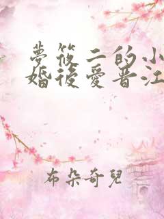 梦筱二的小说先婚后爱晋江