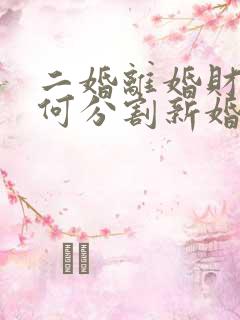 二婚离婚财产如何分割新婚姻法找律师