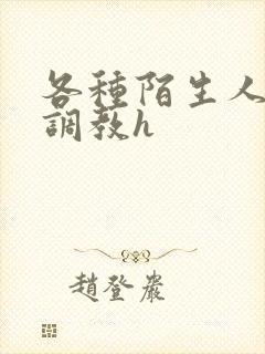 各种陌生人np调教h