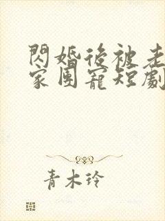 闪婚后被老公全家团宠短剧在线