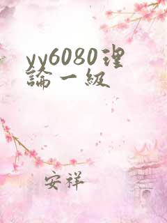 yy6080理论一级