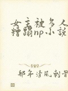 女主被多人强迫糟蹋np小说