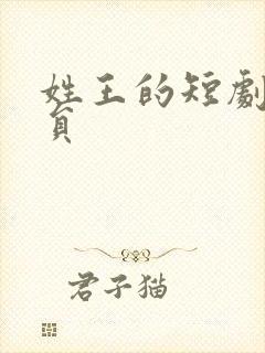 姓王的短剧男演员