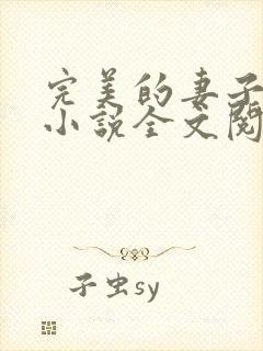 完美的妻子赵岚小说全文阅读