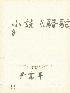 小说《骆驼祥子》