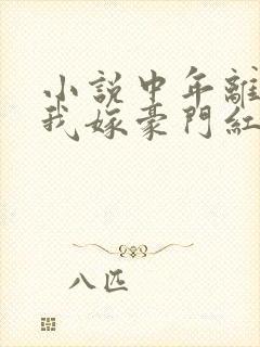 小说中年离婚,我嫁豪门红遍全网全文阅读