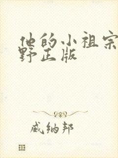 他的小祖宗甜又野正版