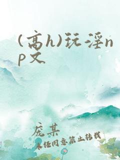 (高h)玩淫np文