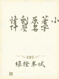 情刺原著小说叫什么名字