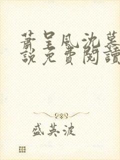 萧呈风沈慕卿小说免费阅读最新章节