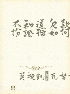 不知道欠款人身份证号如何起诉