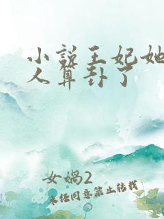 小说王妃她又给人算卦了