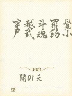 穿越斗罗觉醒僵尸武魂的小说