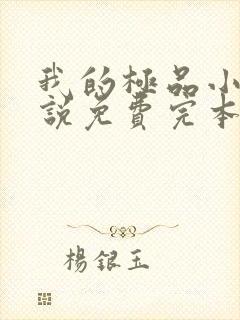 我的极品小姨小说免费完本