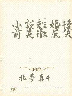 小说离婚后豪门前夫彻底失了控完结版