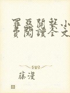 罪恶关系小说免费阅读全文无弹窗