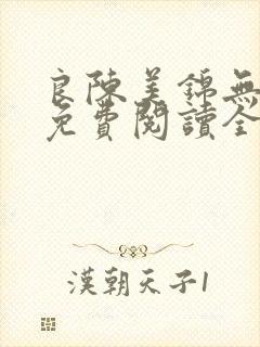 良陈美锦无弹窗免费阅读全文