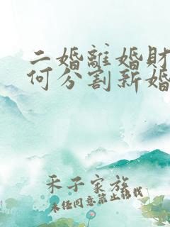 二婚离婚财产如何分割新婚姻法2023