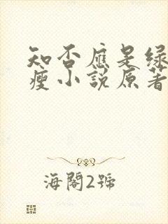 知否应是绿肥红瘦小说原著