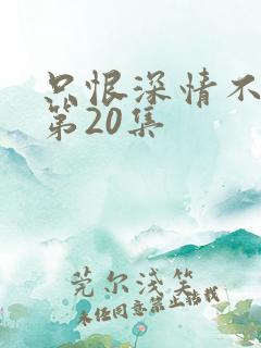 只恨深情不识鸢第20集