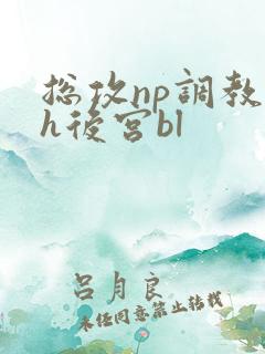 总攻np调教高h后宫bl