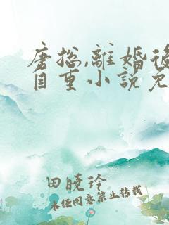 唐总,离婚后请自重小说免费阅读