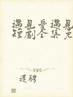 遇见爱遇见幸福短剧全集免费看