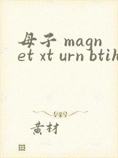 母子 magnet xt urn btih