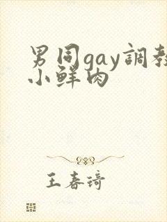 男同gay调教小鲜肉